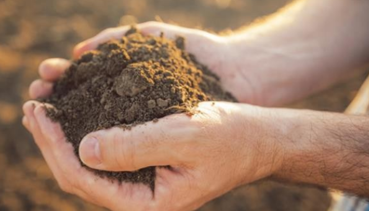 稀土礦多少錢(qián)一噸？現(xiàn)在是漲了還是降了？